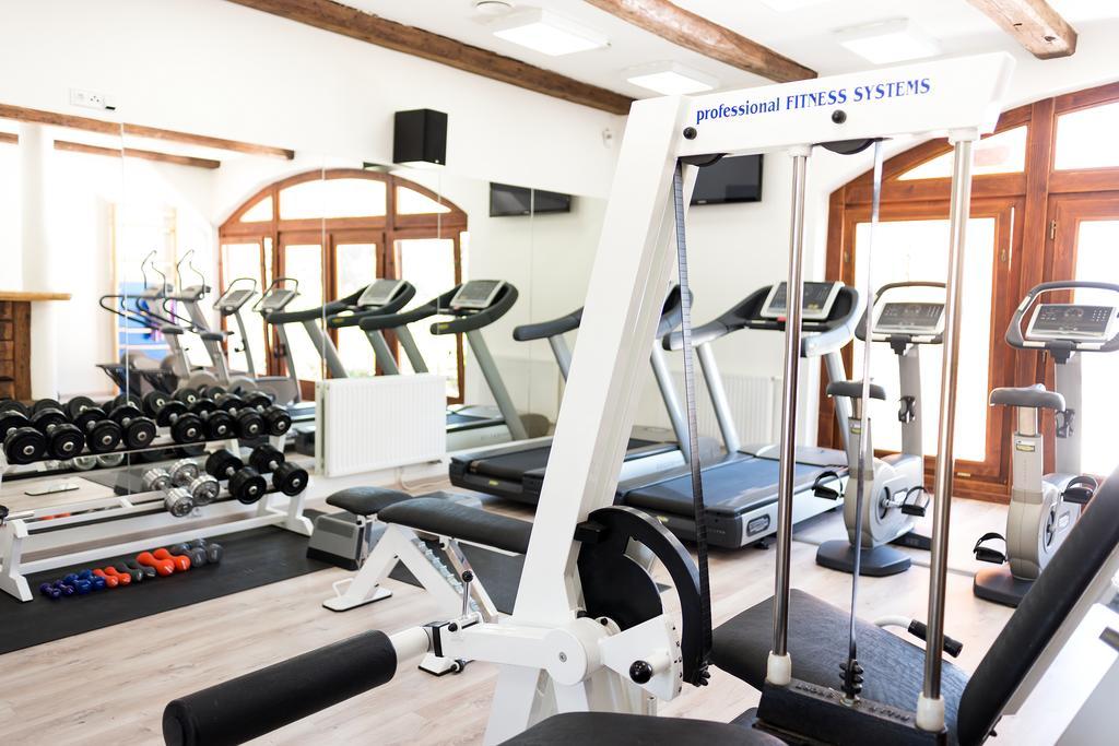 Wellness & Minipivovar Knezinek 3* Budweis